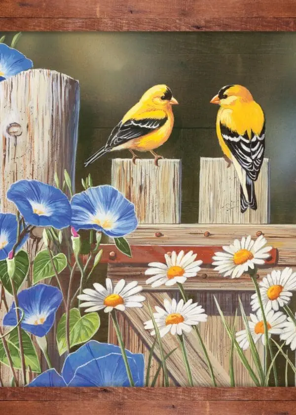  - 564-IOPE0498S_lg.jpg