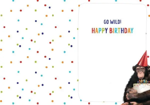  - 564-IOPE0536C_1_lg.jpg