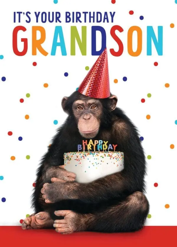  - 564-IOPE0536C_lg.jpg