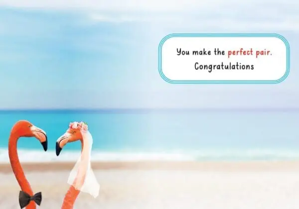  - 564-IOPE0665C_1_lg.jpg