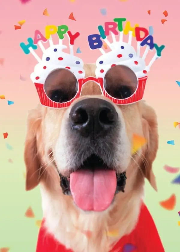  - 564-IOPE0666C_lg.jpg