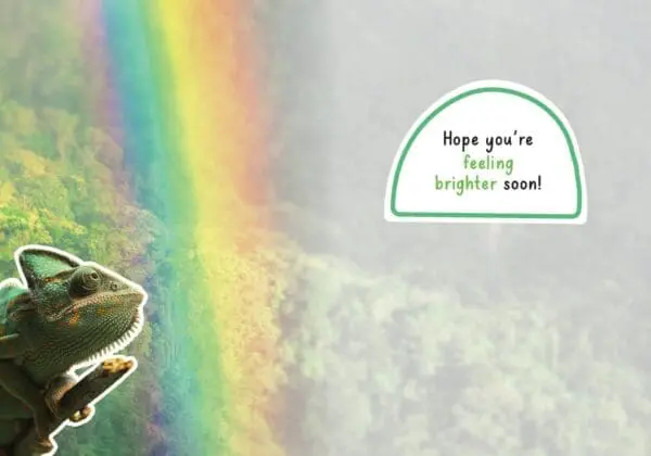  - 564-IOPE0670C_1_lg.jpg