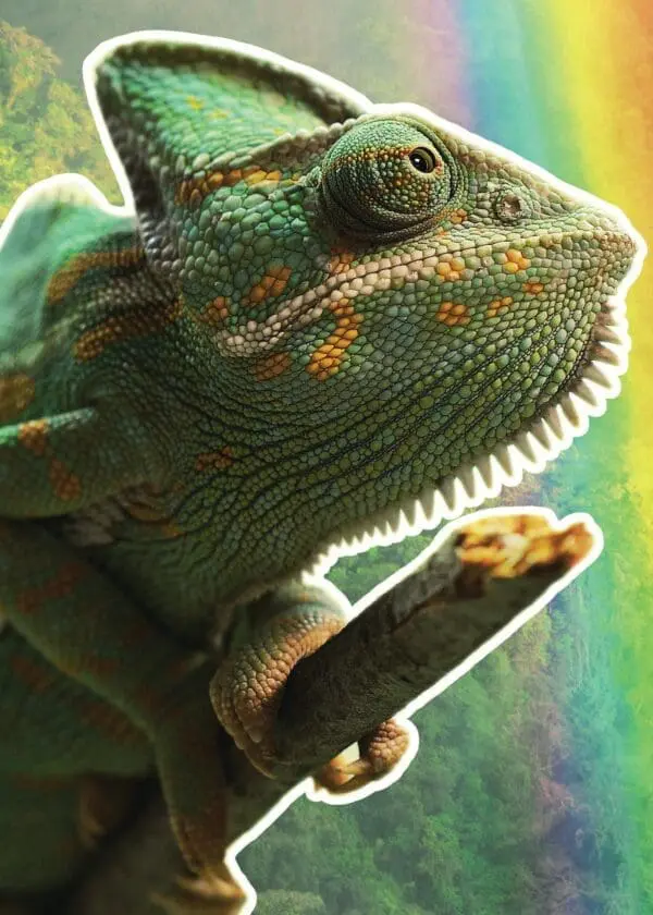  - 564-IOPE0670C_lg.jpg