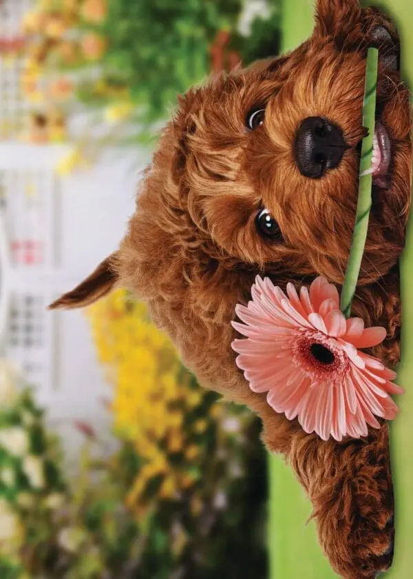  - 564-IOPE0677C_lg.jpg