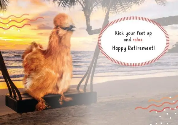  - 564-IOPE0681C_1_lg.jpg