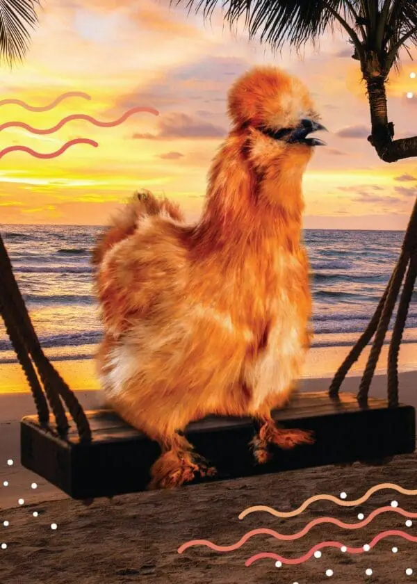  - 564-IOPE0681C_lg.jpg