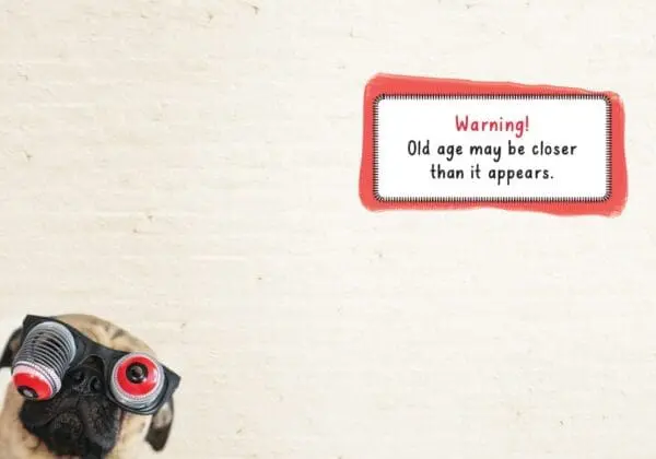  - 564-IOPE0688C_1_lg.jpg