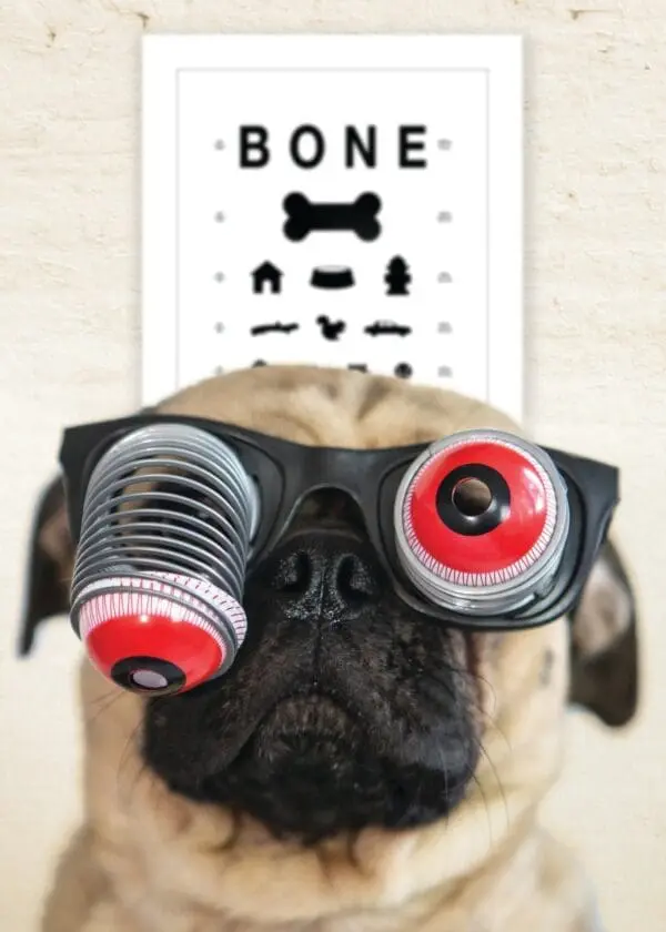  - 564-IOPE0688C_lg.jpg