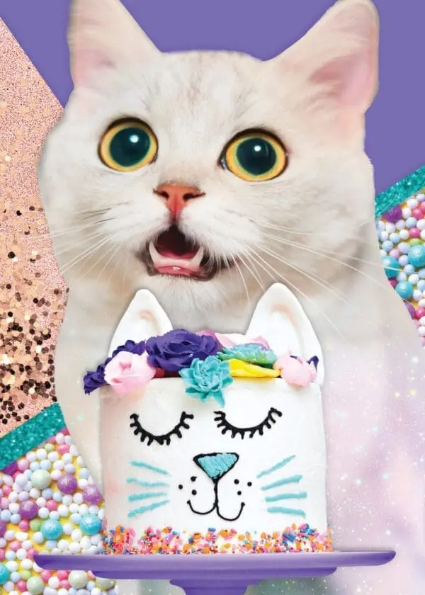  - 564-IOPE0691C_lg.jpg