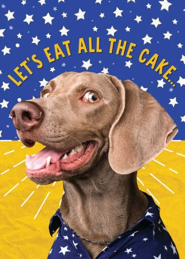  - 564-IOPE0692C_lg.jpg