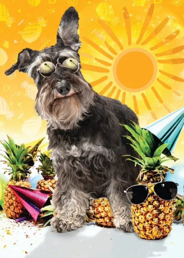  - 564-IOPE0693C_lg.jpg