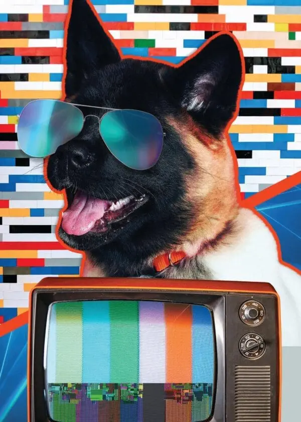  - 564-IOPE0699C_lg.jpg