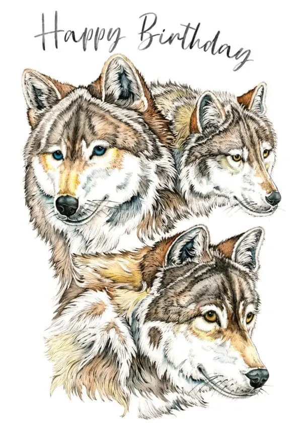  - 564-IOPI0597L_lg.jpg