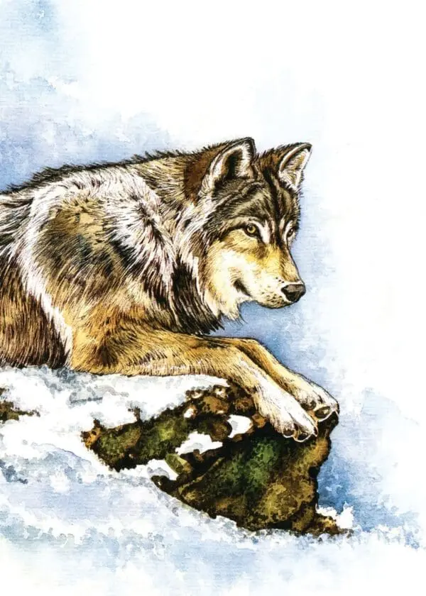  - 564-IOPI0599L_lg.jpg