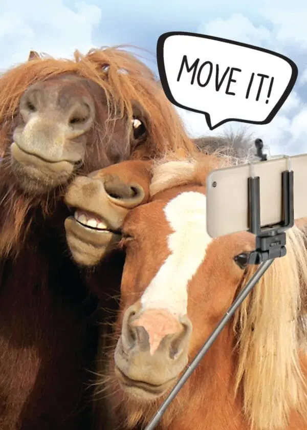  - 564-IOPW0125C_lg.jpg