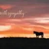 - 564-IOPW0164L_lg.jpg