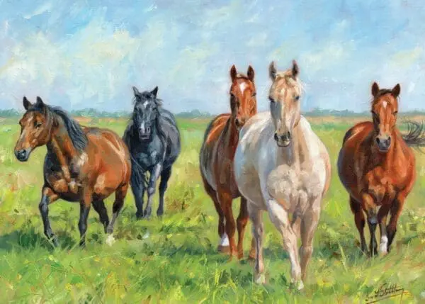  - 564-IOPW0194L_lg.jpg