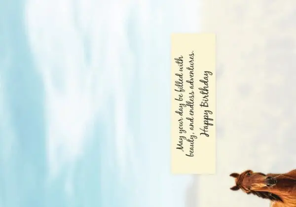  - 564-IOPW0217C_1_lg.jpg