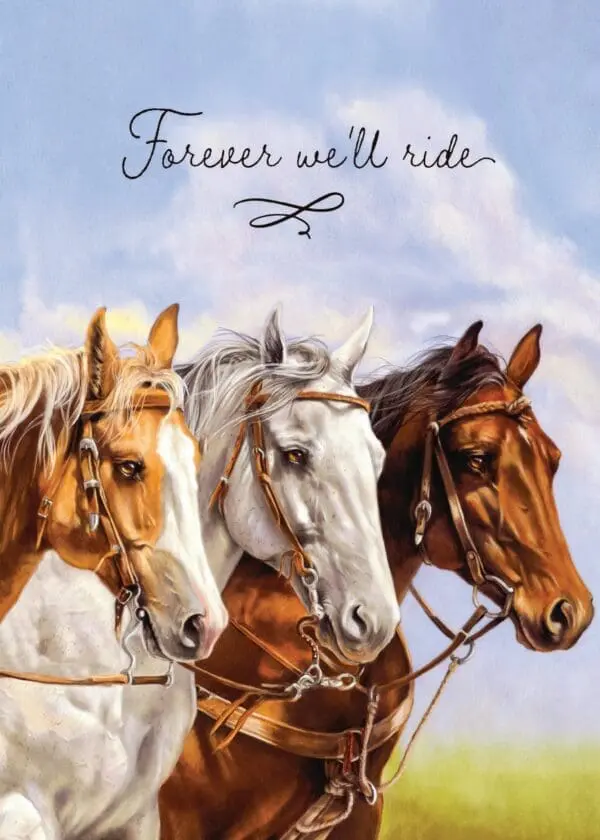  - 564-IOPW0395L_lg.jpg