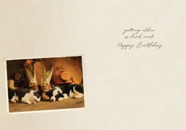  - 564-IOPW0405L_1_lg.jpg