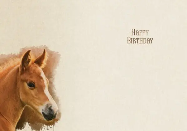  - 564-IOPW0407L_1_lg.jpg