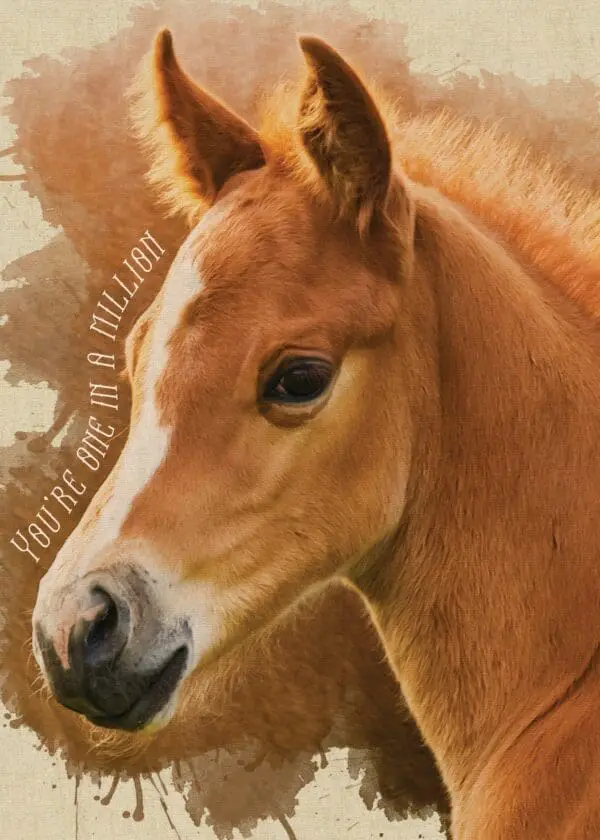  - 564-IOPW0407L_lg.jpg