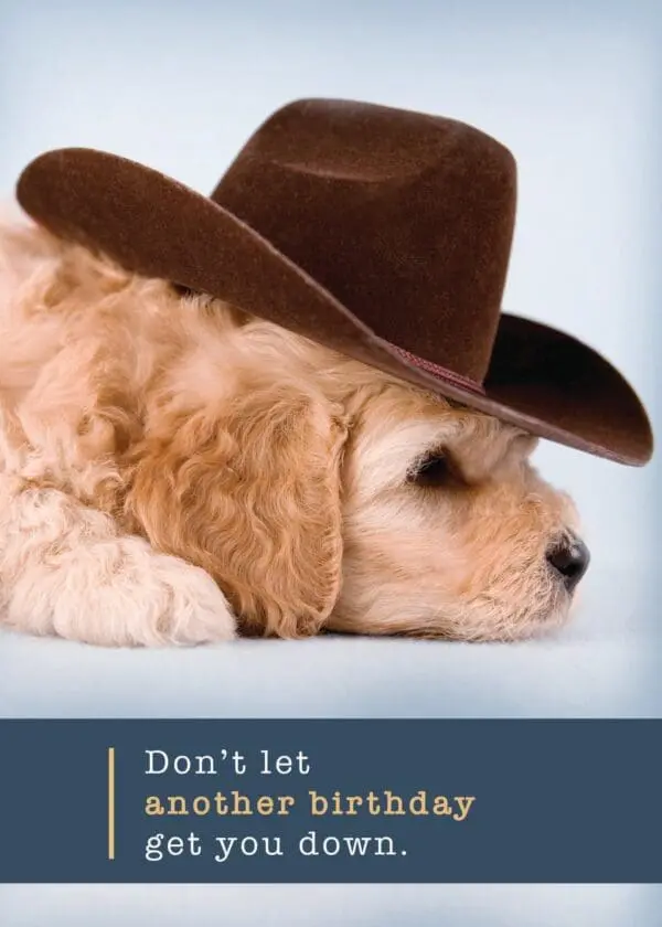  - 564-IOPW0425C_lg.jpg