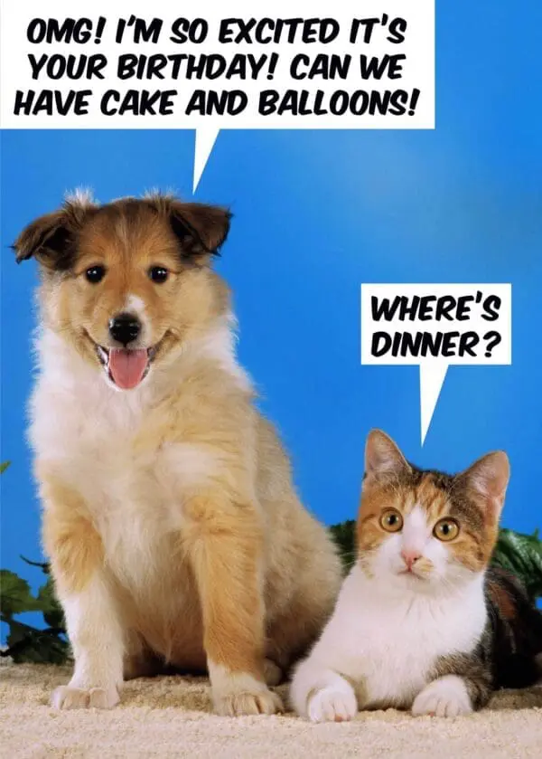  - 6723-DMU20103_lg.jpg