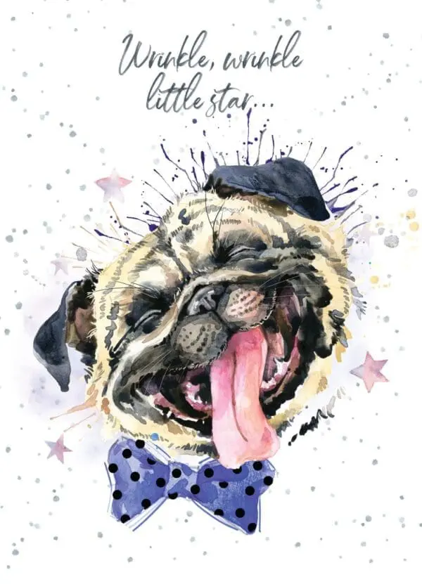  - 947-HOP0017_lg.jpg