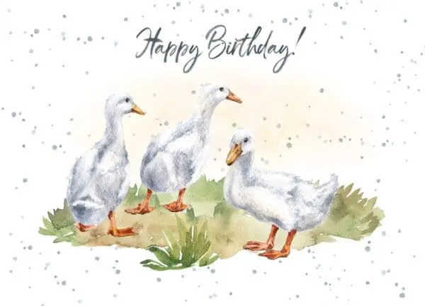  - 947-HOP0023_lg.jpg