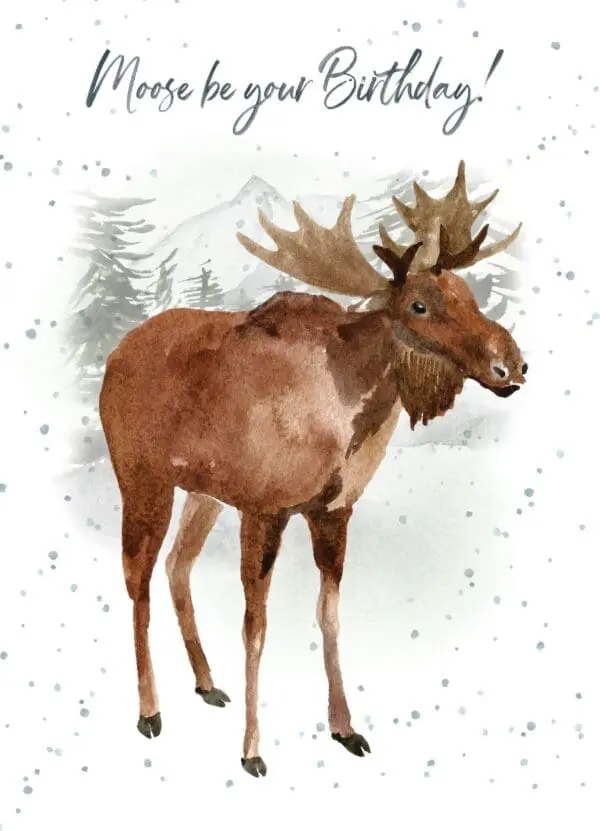  - 947-HOP0029_lg.jpg