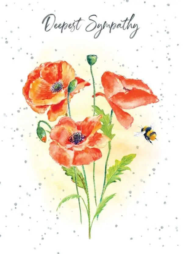  - 947-HOP0030_lg.jpg