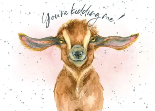  - 947-HOP0043_lg.jpg