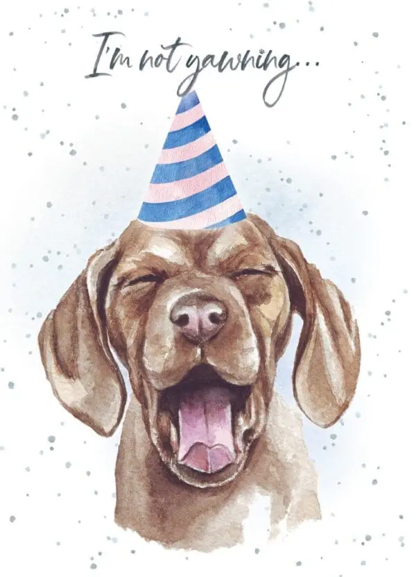  - 947-HOP0045_lg.jpg