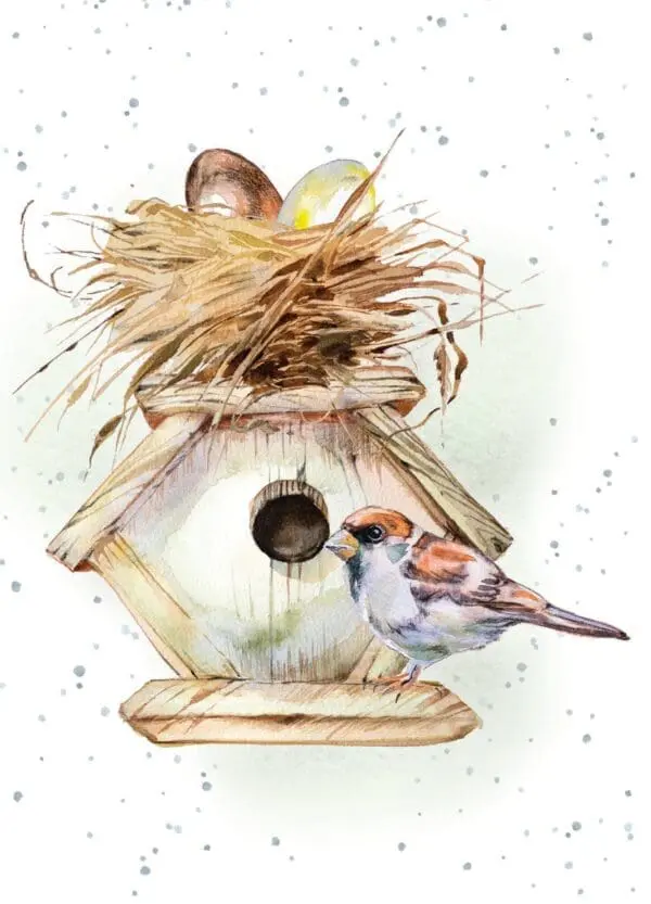  - 947-HOP0053B_lg.jpg