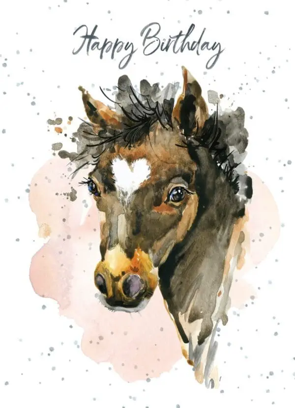  - 947-HOP0055_lg.jpg