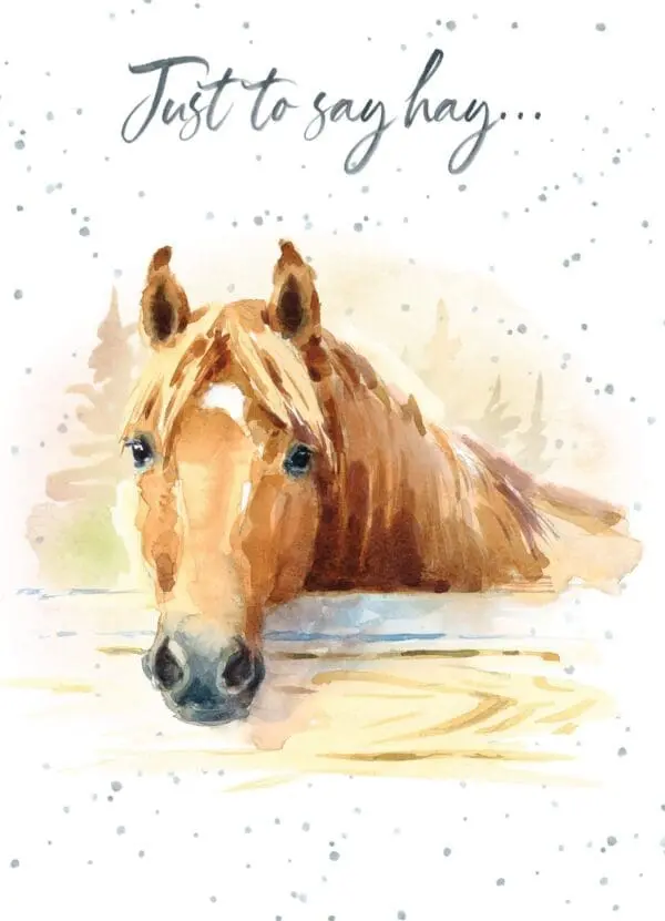  - 947-HOP0059_lg.jpg