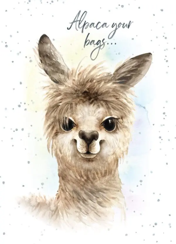  - 947-HOP0076_lg.jpg