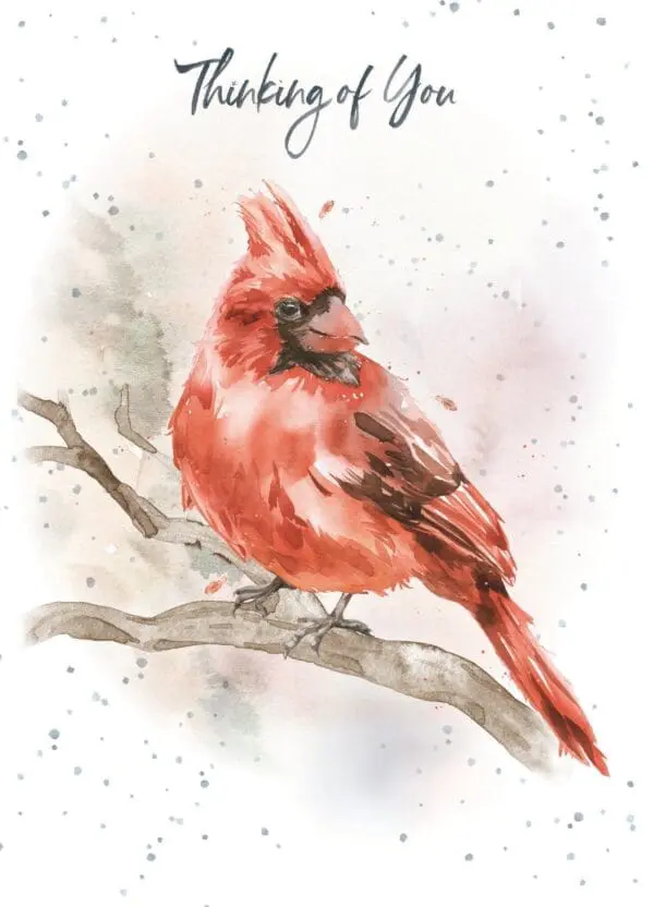  - 947-HOP0082_lg.jpg