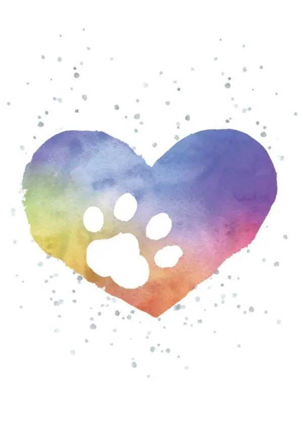  - 947-HOP0084B_lg.jpg