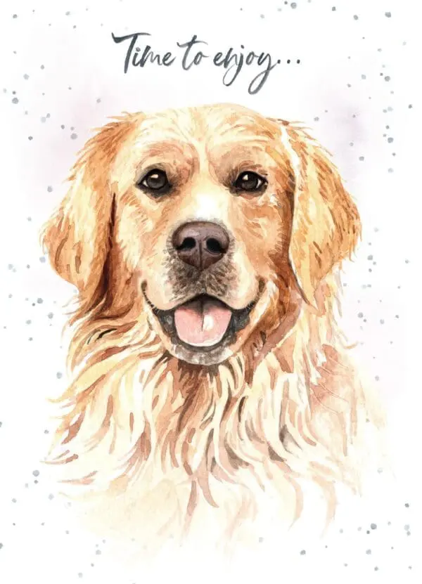  - 947-HOP0096_lg.jpg