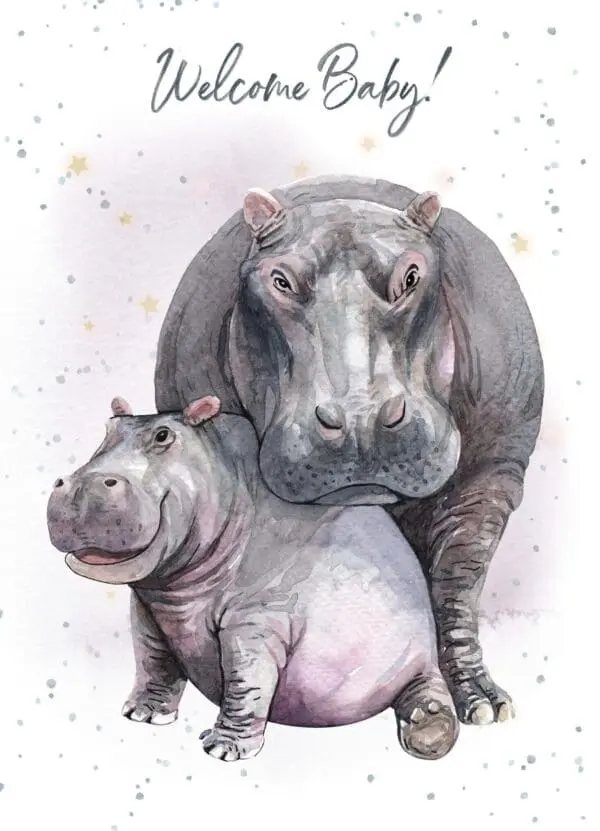  - 947-HOP0099_lg.jpg