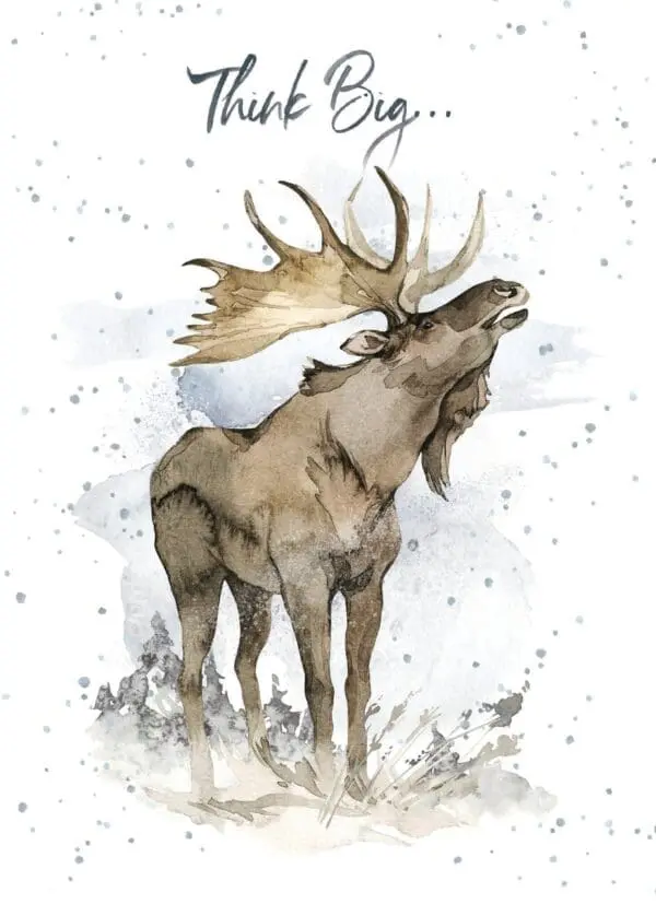  - 947-HOP0148_lg.jpg