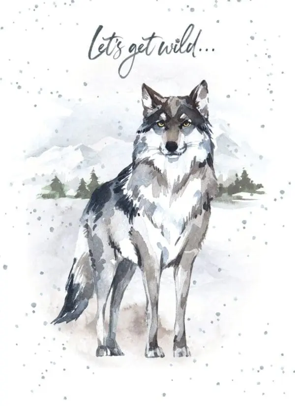  - 947-HOP0153_lg.jpg