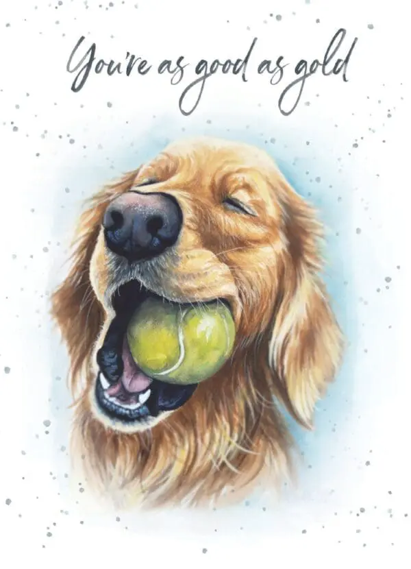  - 947-HOP0169_lg.jpg