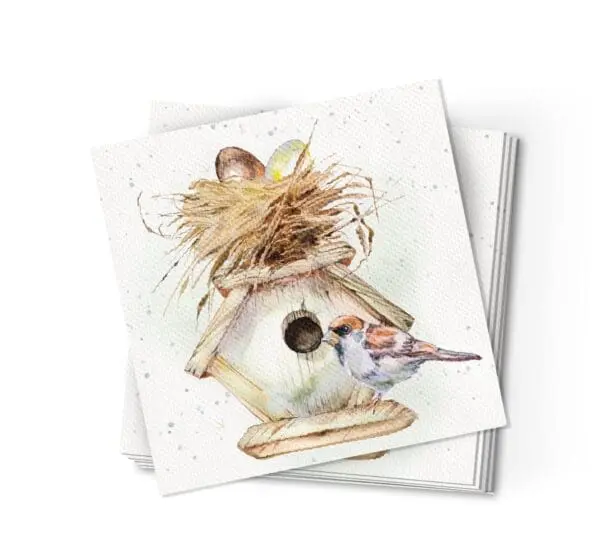  - 947A-NAP0053_lg.jpg