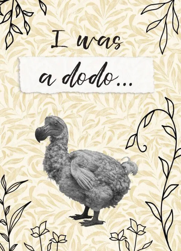  - 9884-CALLIE0072_lg.jpg