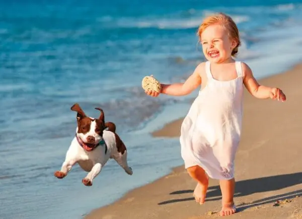  - 2800-774-01183_lg.jpg