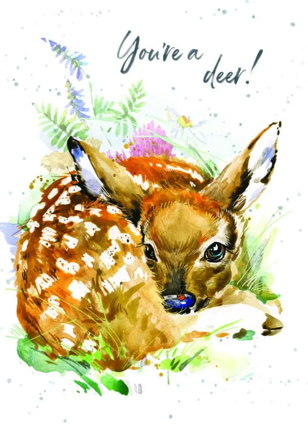 947-HOP0238 - Bellaflor - 947-HOP0238