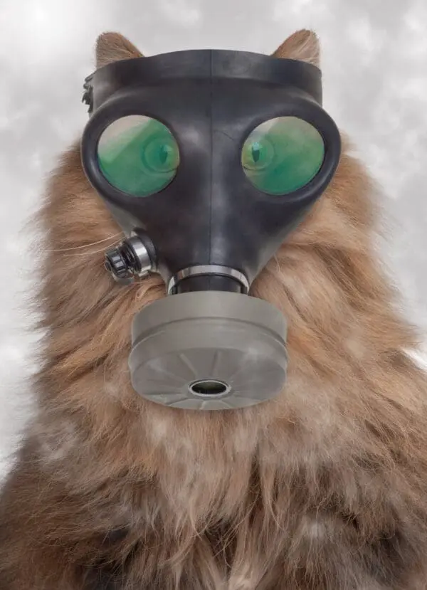  - 2800-774-01291_lgjpg